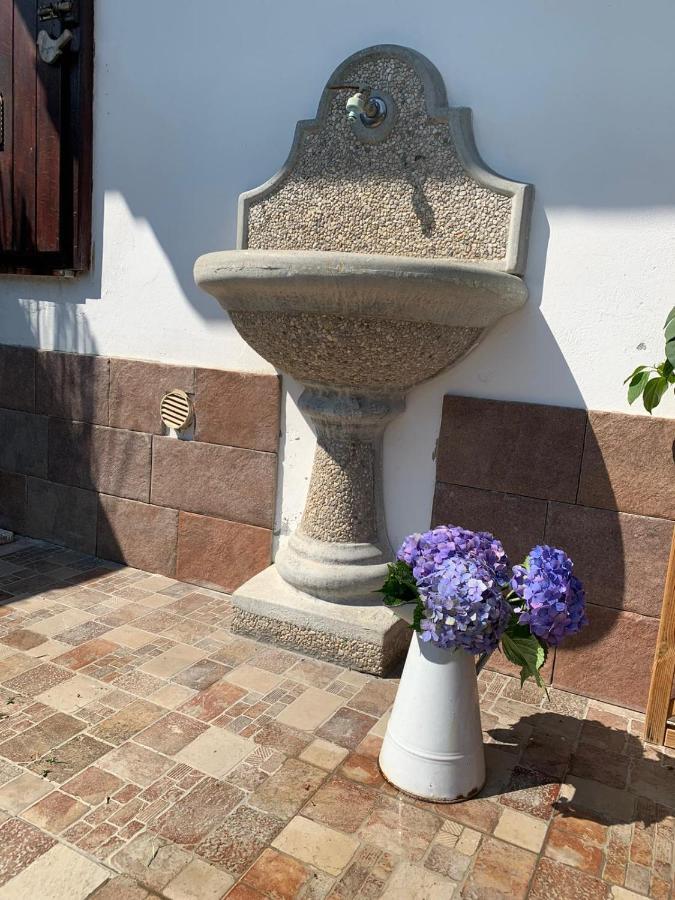 Maison Diletta Castelletto sopra Ticino Eksteriør billede
